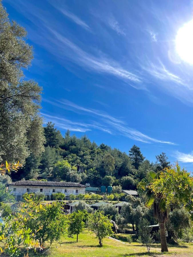 Angels Garden Ξενοδοχείο Kumluca Εξωτερικό φωτογραφία