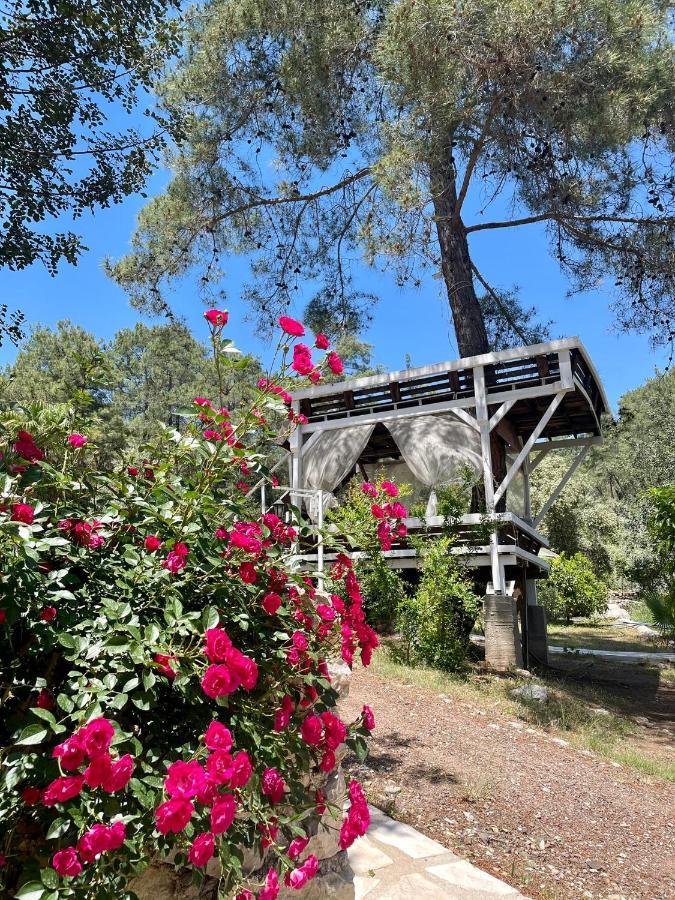 Angels Garden Ξενοδοχείο Kumluca Εξωτερικό φωτογραφία