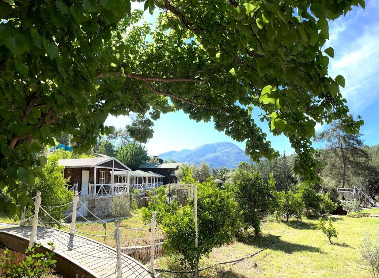 Angels Garden Ξενοδοχείο Kumluca Εξωτερικό φωτογραφία